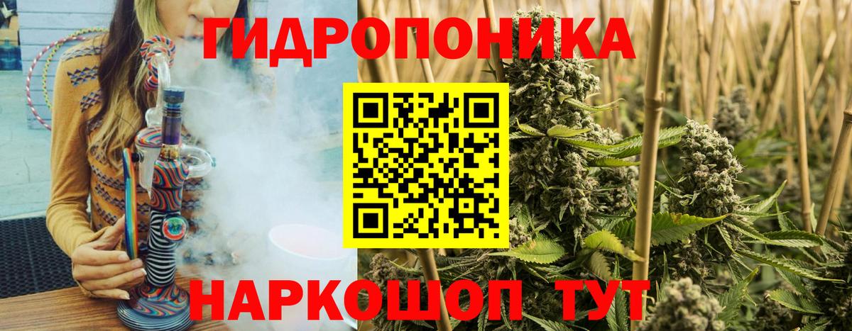 Бошки марихуана Bruce Banner Корсаков